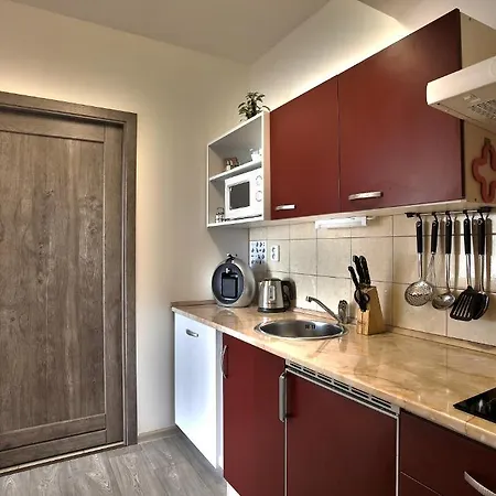 Topapartmany Lesni アパート *